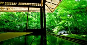 新緑期の瑠璃光院